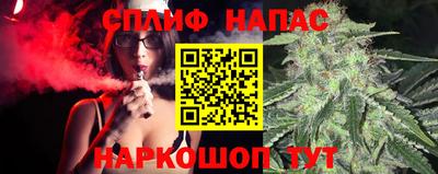 сатива Вязьма