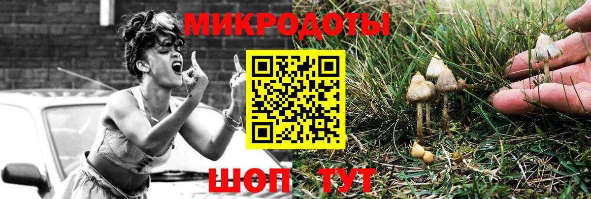 Псилоцибиновые грибы мухоморы Георгиевск