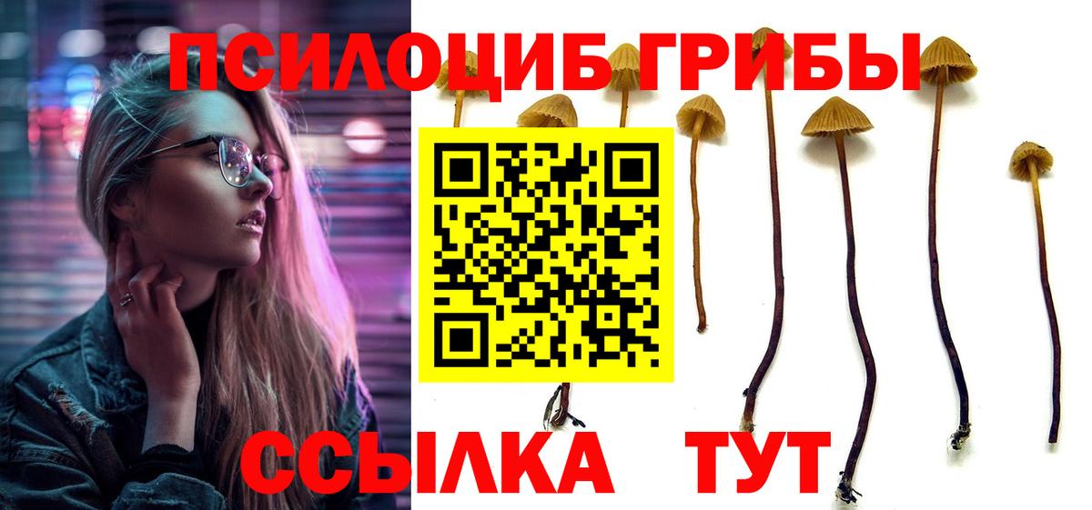 Галлюциногенные грибы мицелий  Галлюциногенные грибы Psilocybe  Георгиевск  Вход с VPN 